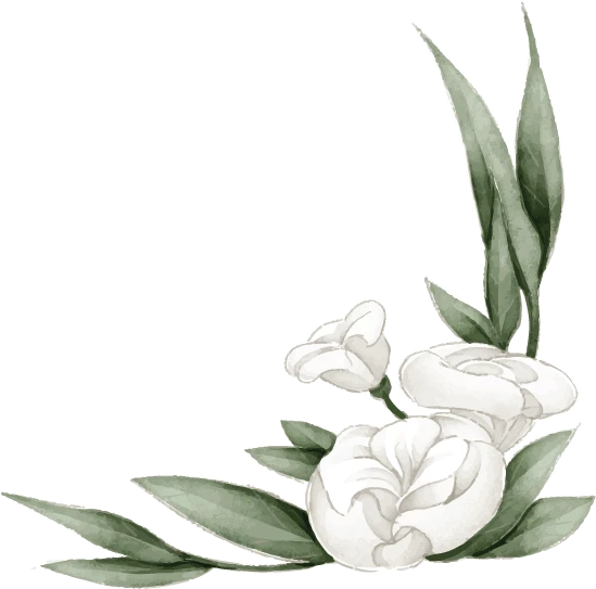 Kontaktiere uns -Tonies Geschaft white flower 2